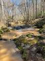 2025 Soap Creek Road - Photo 17