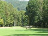 0 Shadowick Mountain Road - Photo 8