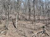 243 Dragon Trail - Photo 23
