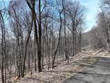 243 Dragon Trail - Photo 3