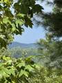 1417 Foxhound Trail - Photo 1