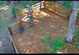 225 Overlook Circle - Photo 30