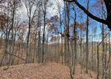 596 Ripshin Mountain Road - Photo 15