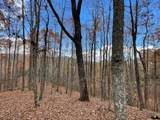 596 Ripshin Mountain Road - Photo 16