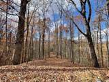 596 Ripshin Mountain Road - Photo 19
