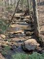0 Timberline Trail - Photo 1