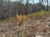 0 Timberline Trail - Photo 5