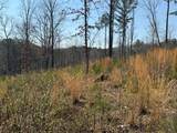 0 Timberline Trail - Photo 6