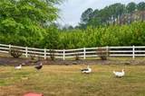 3350 Old Thompson Mill Road - Photo 9