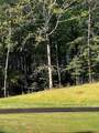 2658 Sconti View Drive - Photo 12