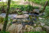 1569 Bubbling Creek Road - Photo 10