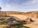 517 Amber Stone - Photo 49