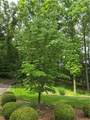 2149 Batesville Road - Photo 98