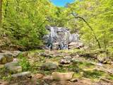 1103 Apple Pie Ridge Road - Photo 131