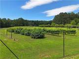 1103 Apple Pie Ridge Road - Photo 149