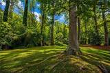 360 Barkshire Lane - Photo 32