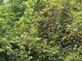 565 Avery Road - Photo 6