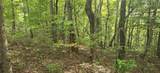 Lot 17 Abbott Mill Road - Photo 11