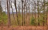 Lot 17 Abbott Mill Road - Photo 3