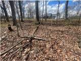Lot 17 Abbott Mill Road - Photo 6