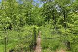 1801 Soap Creek Road - Photo 45
