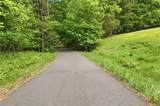1801 Soap Creek Road - Photo 52