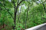 113 Yanoo Trace - Photo 35
