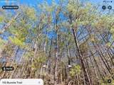 110 Bunnie Trail - Photo 6