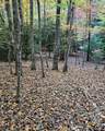 5 Goldmine Road - Photo 5