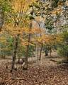 5 Goldmine Road - Photo 8