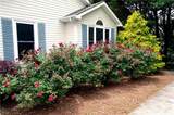 140 Crystal River Drive - Photo 3
