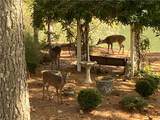 404 Golden Delicious Road - Photo 61