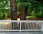 231 Hardy Way - Photo 27