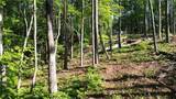 183 Moody Meadows Trail - Photo 7