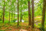 3316 Harvester Woods Road - Photo 80