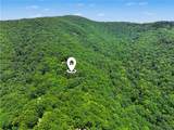 432 Huckleberry Trail - Photo 49