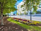 401 16th Street - Photo 18