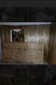 119 Polar Rock Road - Photo 10