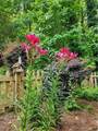 654 Low Gap Road - Photo 76