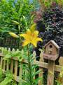 654 Low Gap Road - Photo 77