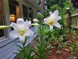 654 Low Gap Road - Photo 81