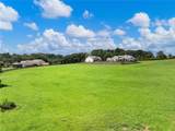 1044 Austin Road - Photo 61