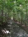305 Wildcat Road - Photo 2