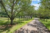 4172 Kings Highway - Photo 45
