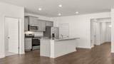 8555 Secretariat Drive - Photo 10