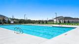 8555 Secretariat Drive - Photo 49