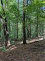 1707 Rebekah Ridge Road - Photo 7