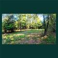 00 Gill Point Rd. - Photo 3