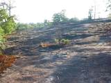 0000 Rabbit Farm Road - Photo 10