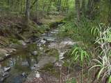 0000 Rabbit Farm Road - Photo 11